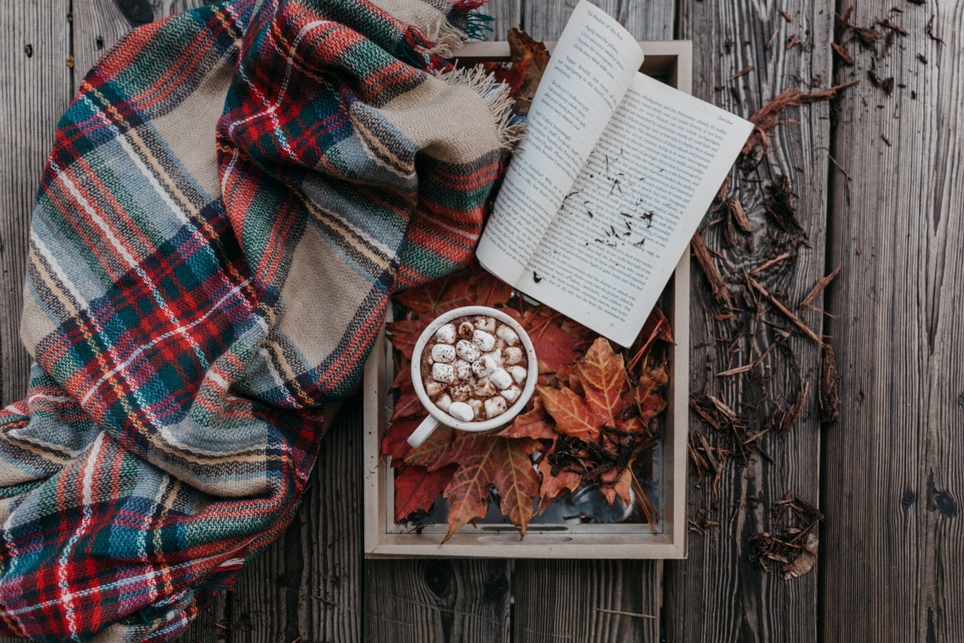 Préparatifs pour une soirée cocooning : plaid, chocolat chaud et livre posés sur un plateau