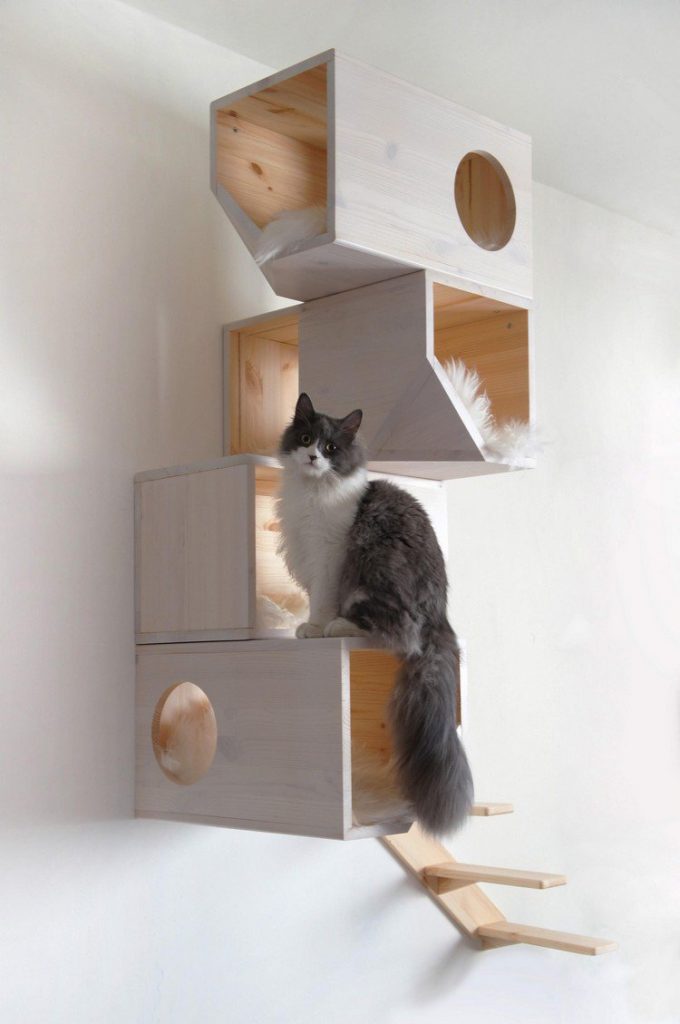 Chat qui escalade son arbre à chat mural DIY