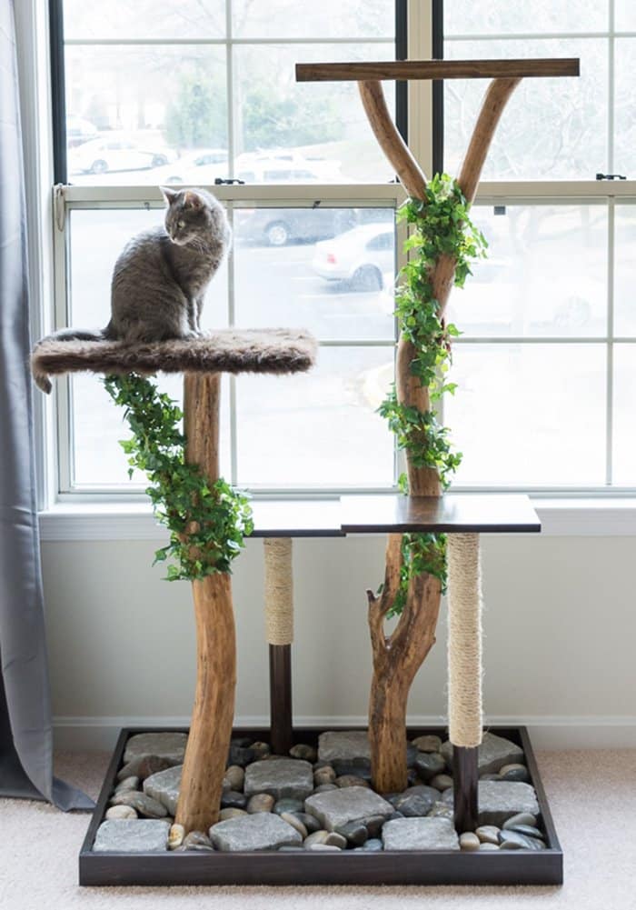 Chat installé sur son arbre à chat DIY réalisé avec du bois flotté