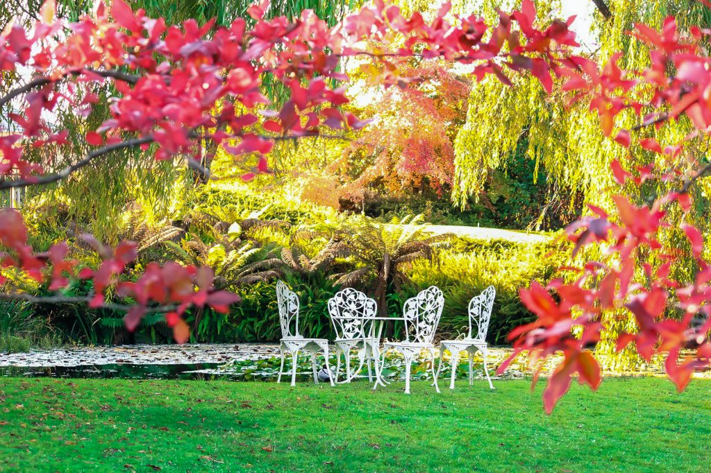 jardin avec mare et salon de jardin en métal